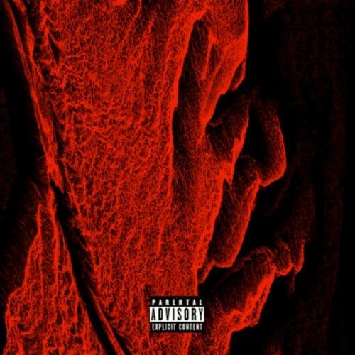 Ibn Inglor New Wave 2