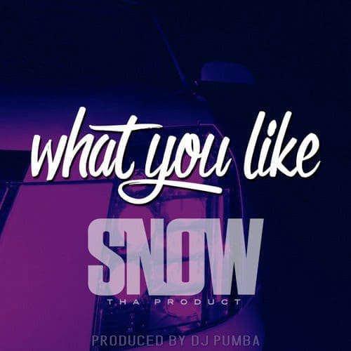 Snow Tha Product What You Like