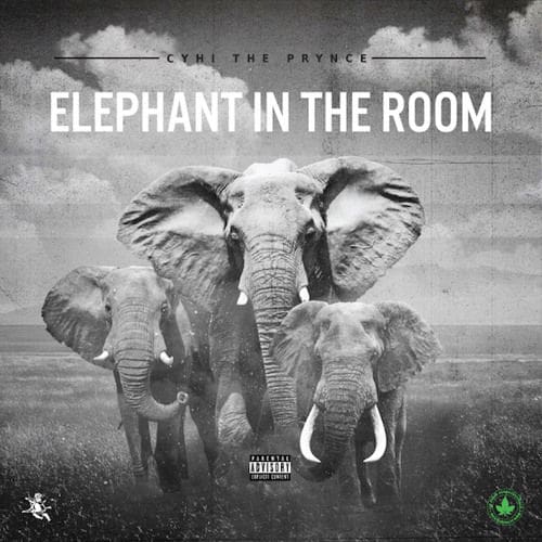 Elephant In The Room