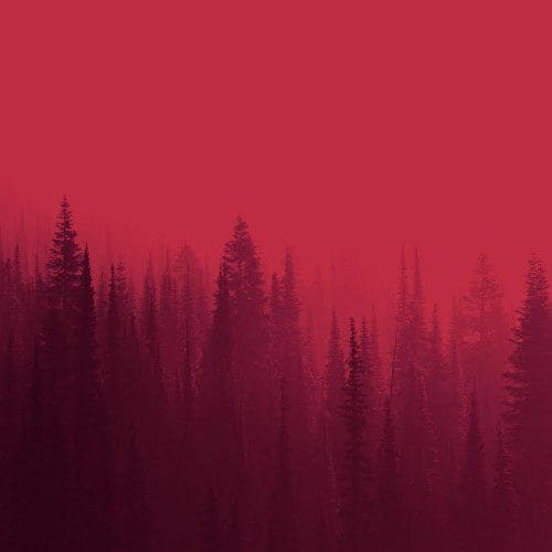 Ibn Inglor The Wildfire