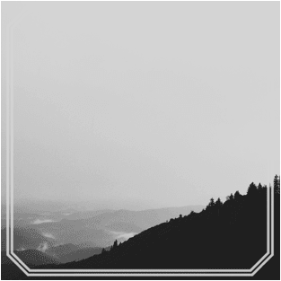 Wildcat! Wildcat! Straight To The Top