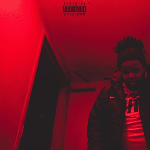 Nolan The Ninja dianetics.