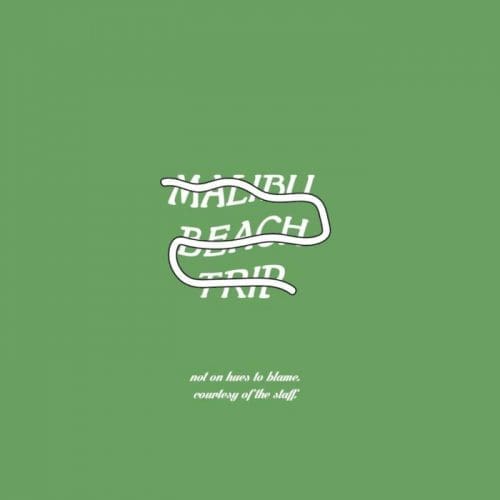 Max Wonders Malibu Beach Trip