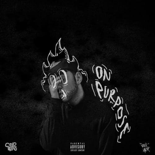 Noelz Vedere On Purpose