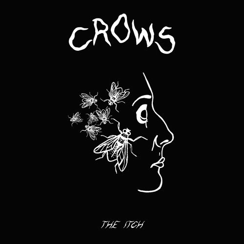 crows