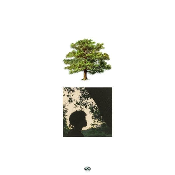 Trapo releases long-awaited project ‘Shade Trees’ !