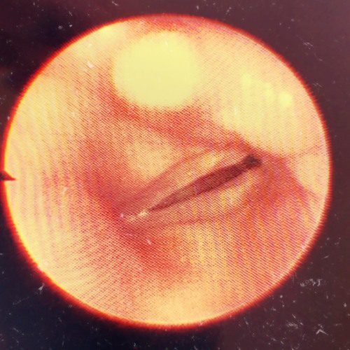 Gerard Way Shares New Solo Songs