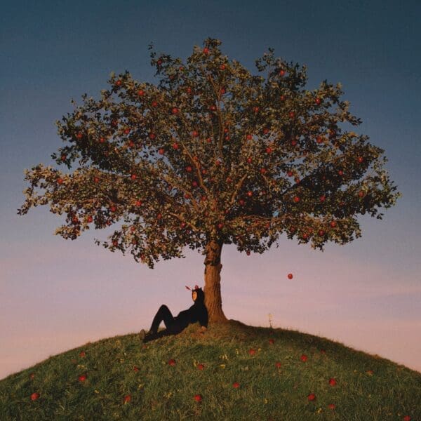 Album Stream: slowthai Releases ‘TYRON’