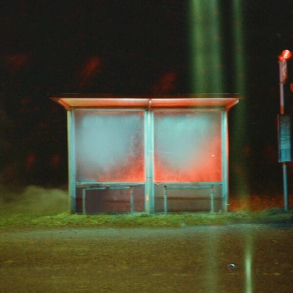 Wolf Alice Announce ‘Blue Lullaby’ EP and Share Lullaby Version of “The Last Man on Earth”